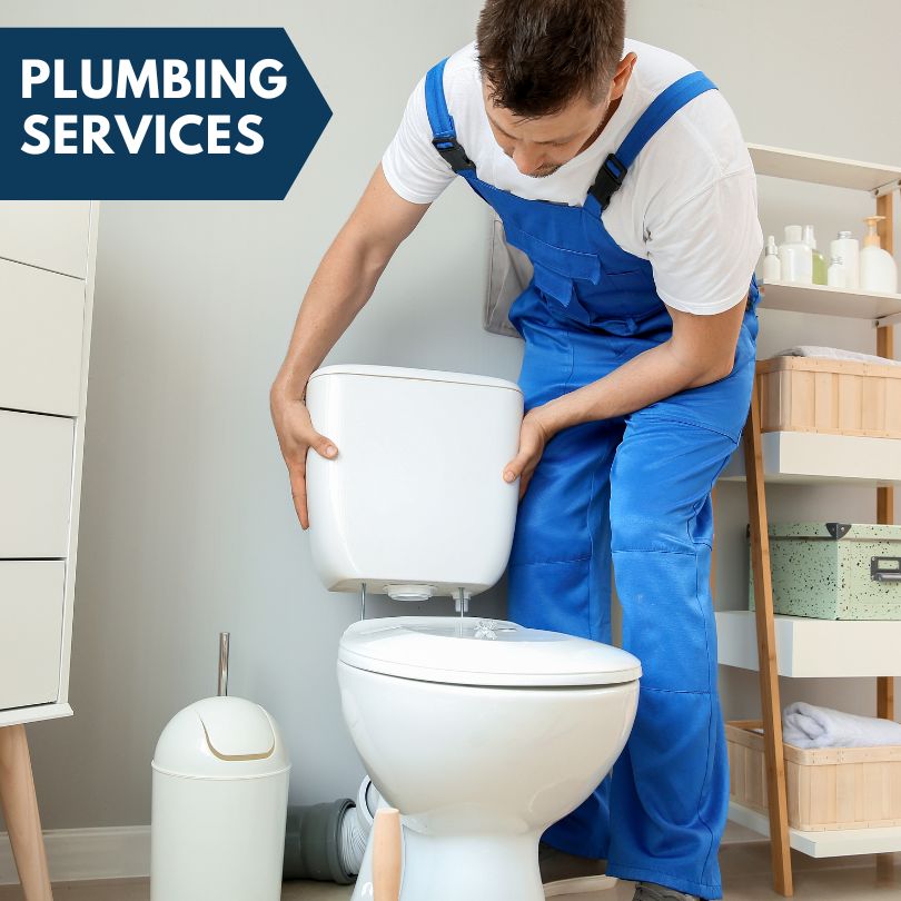 Plumbing Company in Oakford, IL